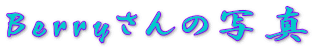 �a������������̎ʐ^