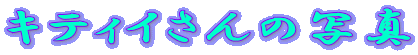�L�e�B�C����̎ʐ^