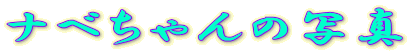 �i�x�����̎ʐ^