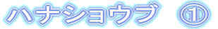 �n�i�V���E�u�@�@