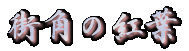 �X�p�̍g�t